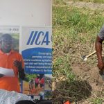 El Proyecto ADOPT Caribbean, liderado por el IICA, impulsa resiliencia de la agricultura en San Vicente y las Granadinas